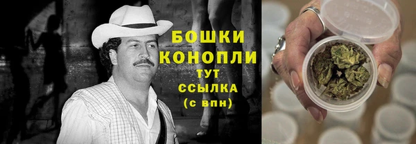 ешки Вяземский