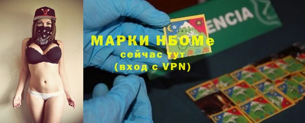 ешки Вяземский