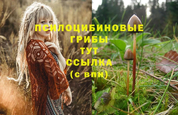 ешки Вяземский