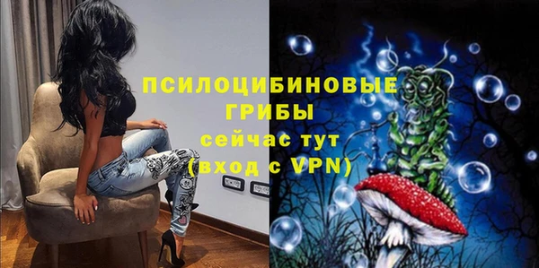 ешки Вяземский
