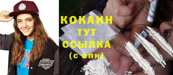 ешки Вяземский