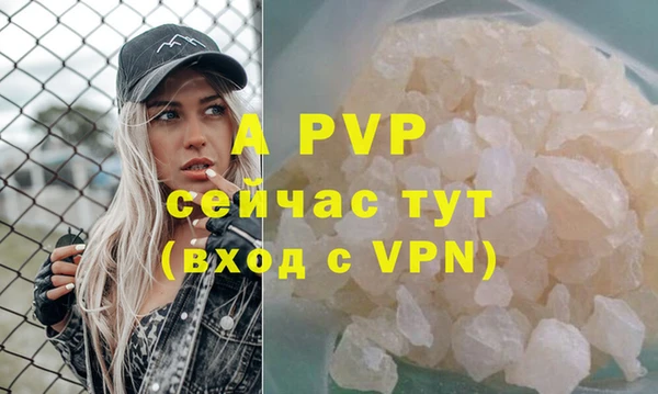 ешки Вяземский
