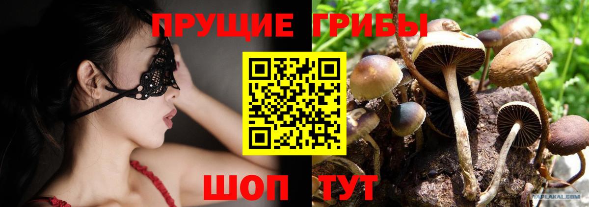 Псилоцибиновые грибы мицелий  Вход с VPN  Сочи 